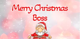 Funny Christmas wishes for boss