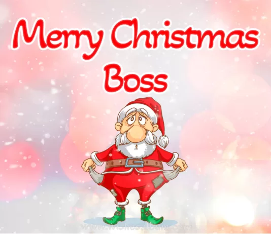 Funny Christmas wishes for boss