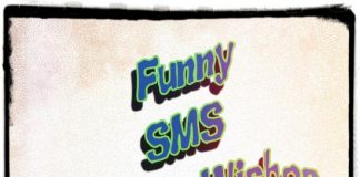 Funny SMS Birthday Wishes