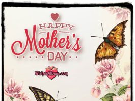 Happy Mothers Day Image