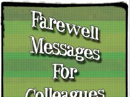 Farewell Messages for Colleagues