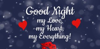 Good night my everything