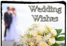 Wedding Wishes for Friends and Congratulations Messages Wedding wishe for friends and congratulation messages