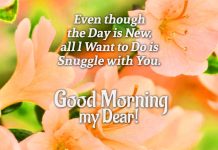 40 Sweet Good Morning Messages for Husband Good morning messages for husband