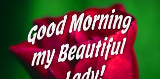 good morning my beautiful lady wife