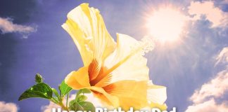 I Love you Dad -Happy Birthday wishes for Dad