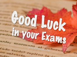 Good luck in your exams - Good luck for exam wishes