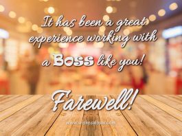 Farewell Messages and Wishes For Boss