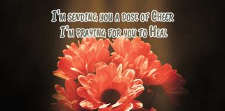 Sending you a dose of cheer get well wishes