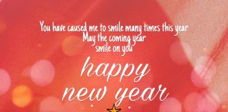 Happy New Year wishes for wife